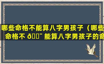 哪些命格不能算八字男孩子（哪些命格不 🐯 能算八字男孩子的命运）